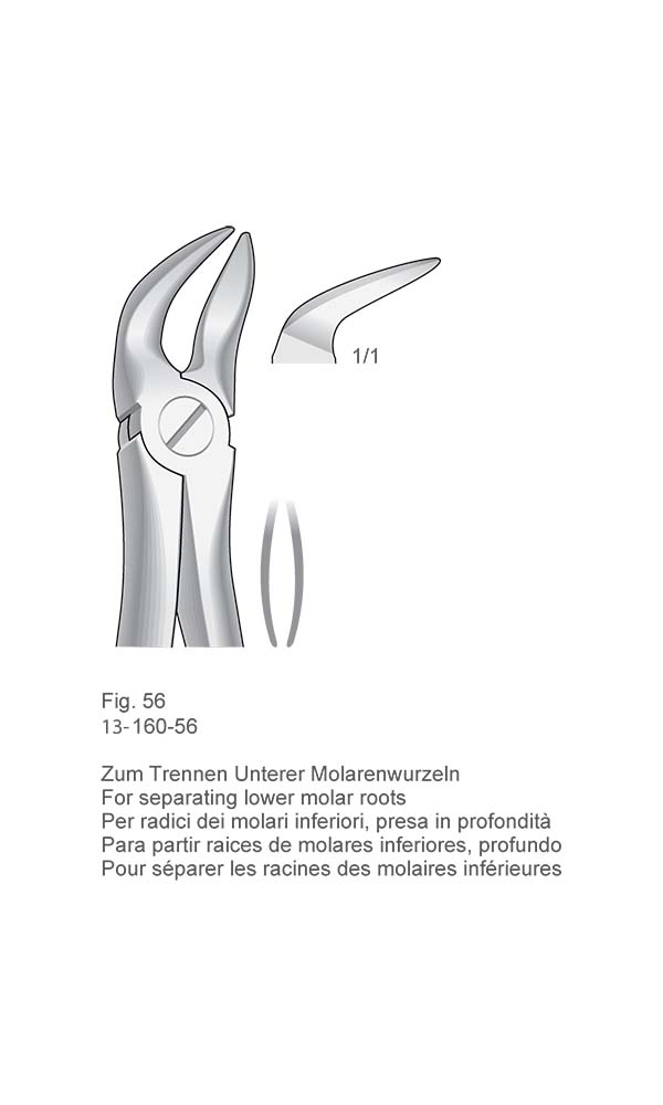 Extracting Forceps, English Pattern , Fig. 56